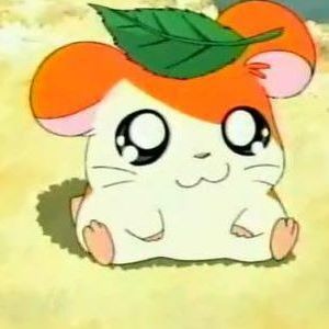 Meet your Posher, Bee